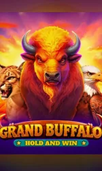 Buffalo Hold And Win